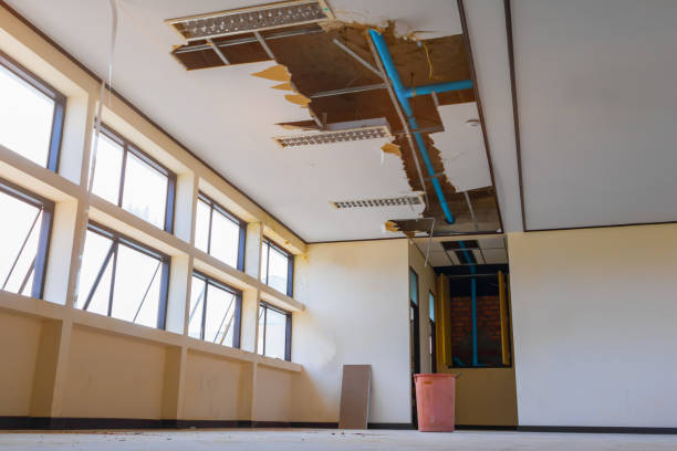 Best 24/7 water damage repair  in Bluefield, WV