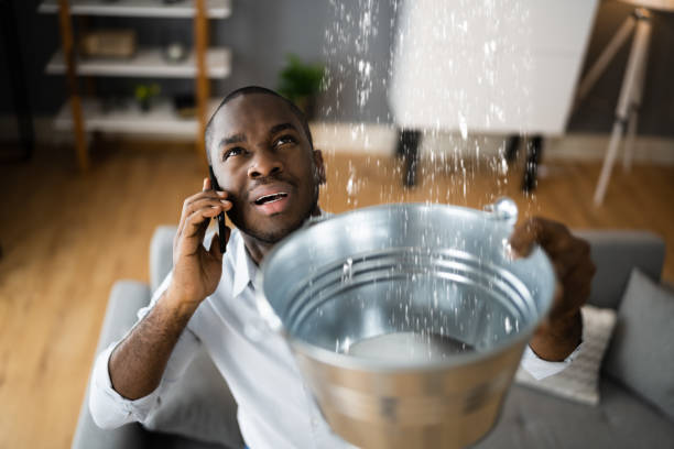 Best Water damage restoration near me  in Bluefield, WV