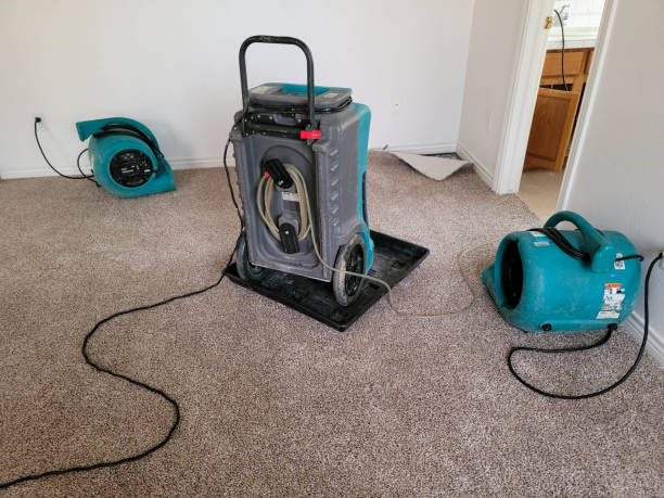 Best Commercial water damage restoration  in Bluefield, WV
