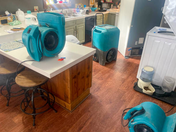 Best Residential water damage restoration  in Bluefield, WV