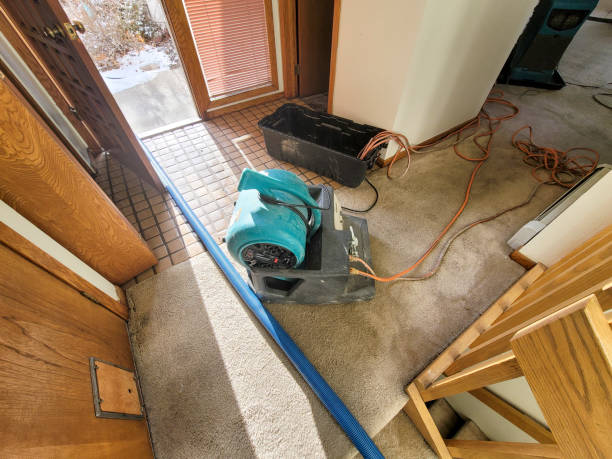Best Local water damage restoration  in Bluefield, WV