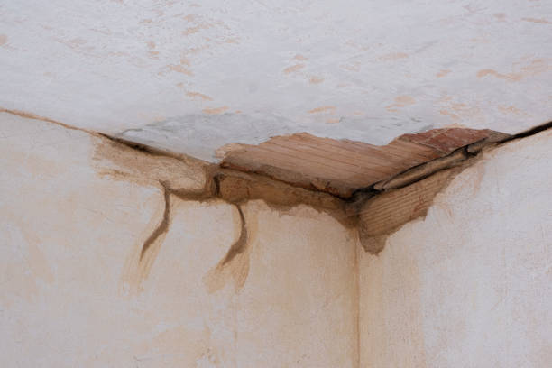 Best Emergency water damage restoration  in Bluefield, WV