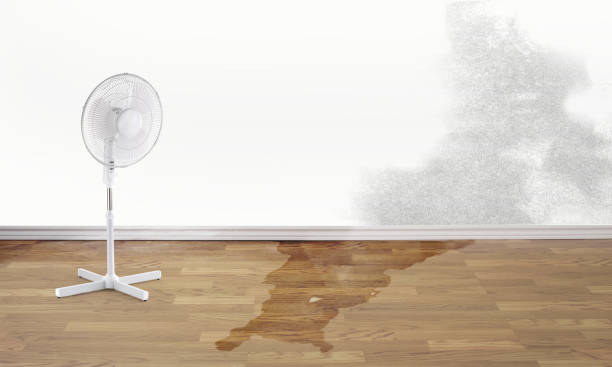 Best Emergency water damage restoration  in Bluefield, WV