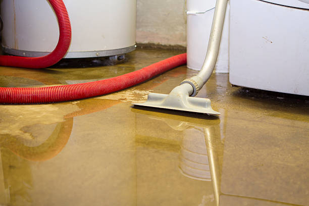 Best Professional water damage repair  in Bluefield, WV