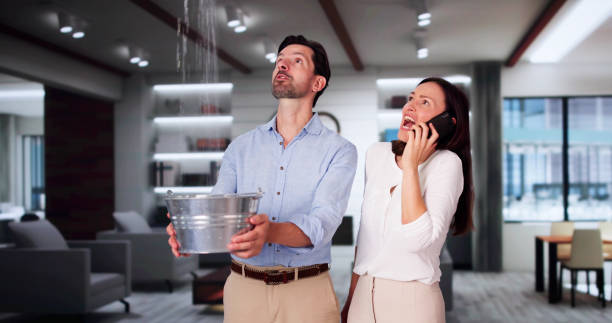 Best Water damage restoration specialists  in Bluefield, WV