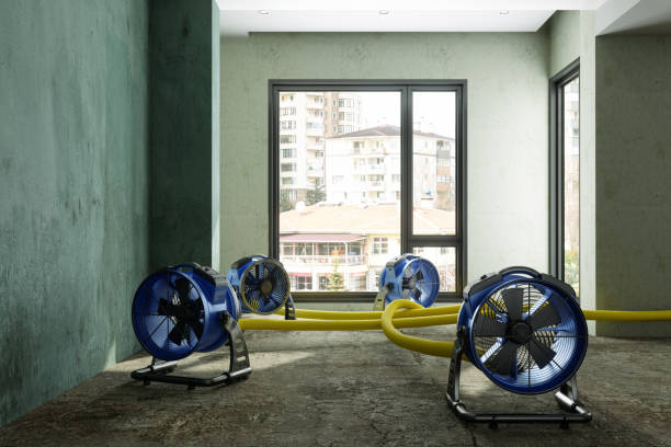 Best Flood restoration services  in Bluefield, WV